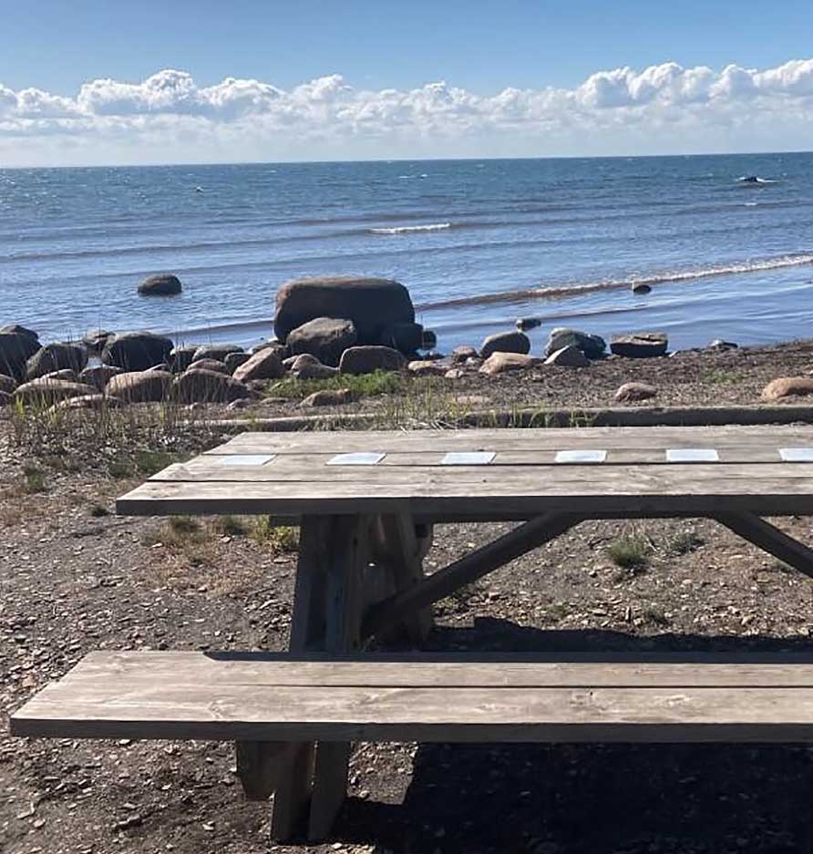 Här, vid havet slutar Anna Rydstedts stig på södra Öland. På bordet är hennes dikter fästade. Foto: Stefan Eklund